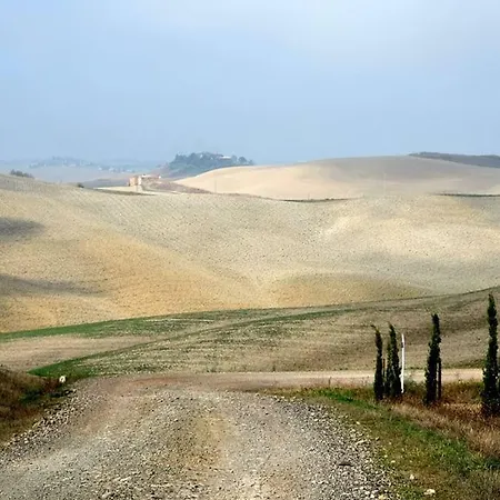 Il Gelso *